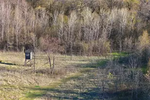 12157 County Hwy 79, Parkers Prairie, MN 56361 - Photo 66