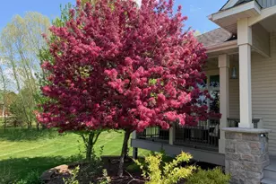 925 Sadies Ln, Hudson, WI 54016 - Photo 16