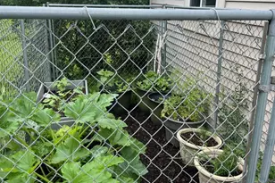 925 Sadies Ln, Hudson, WI 54016 - Photo 14