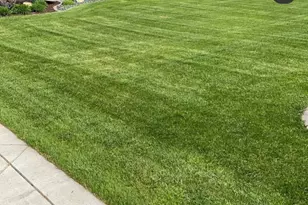 742 Shorewood Dr, Detroit Lakes, MN 56501 - Photo 4