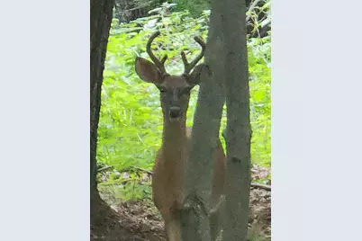 N8924 610th Street, Colfax, WI 54730 - Photo 10