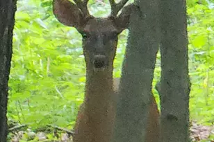 N8924 610th St, Colfax, WI 54730 - Photo 10