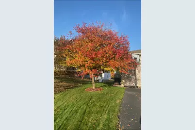 6785 Wildflower Drive S, Cottage Grove, MN 55016 - Photo 60