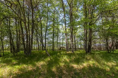 Tbd Sorenson Lake Rd., Merrifield, MN 56465 - Photo 22