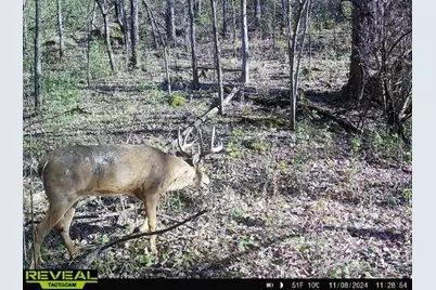 W12463 820th Avenue, River Falls, WI 54022 - Photo 40