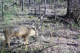 W12463 820th Ave, River Falls, WI 54022 - Photo 40