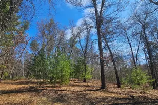 3568 Deerlodge Ln, Danbury, WI 54830 - Photo 42