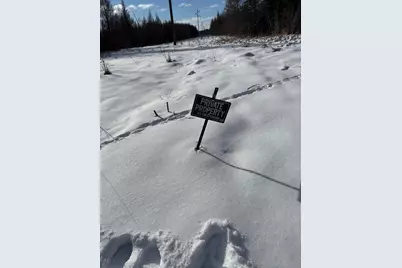 Tbd Arbor Road, Park Rapids, MN 56470 - Photo 16