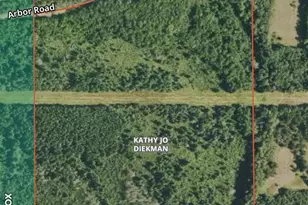 Tbd Arbor Rd, Park Rapids, MN 56470 - Photo 1