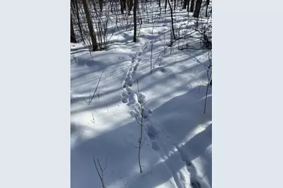 Tbd Arbor Road, Park Rapids, MN 56470 - Photo 10