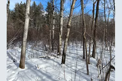 Tbd Arbor Road, Park Rapids, MN 56470 - Photo 10