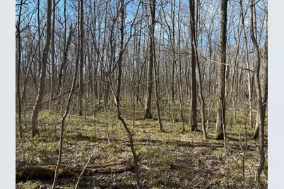 Tbd Arbor Road, Park Rapids, MN 56470 - Photo 22