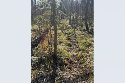 Tbd Arbor Road, Park Rapids, MN 56470 - Photo 24