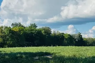 8Xxx Rushseba Trail, Rush City, MN 55069 - Photo 2