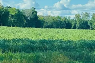 8Xxx Rushseba Trail, Rush City, MN 55069 - Photo 6