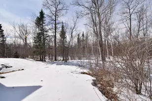 4836 Big McGraw Rd, Danbury, WI 54830 - Photo 66