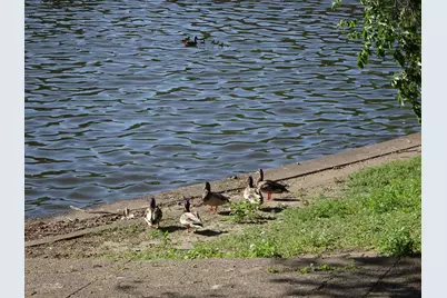 3744 13th Avenue S, Minneapolis, MN 55407 - Photo 30