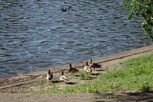 3744 13th Ave S, Minneapolis, MN 55407 - Photo 30