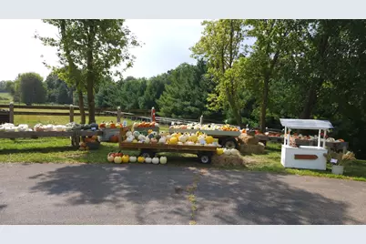 4251 115th Street SE, Delano, MN 55328 - Photo 54