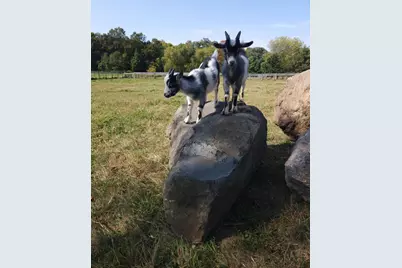 4251 115th Street SE, Delano, MN 55328 - Photo 52