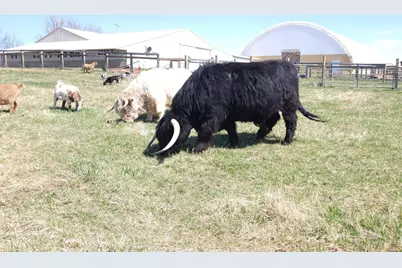 4251 115th Street SE, Delano, MN 55328 - Photo 58