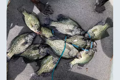 Tbd Vista Trail, Brandon, MN 56315 - Photo 4