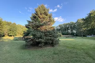 310 D Scholten Dr, Steen, MN 56173 - Photo 46