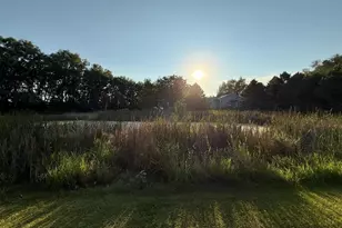 310 D Scholten Dr, Steen, MN 56173 - Photo 44