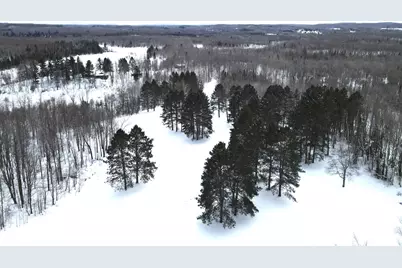 72303 Pufal Road, High Bridge, WI 54846 - Photo 48