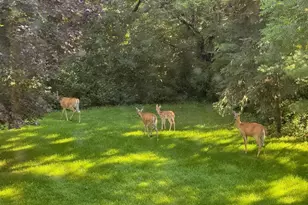 13445 190th Ave NW, Elk River, MN 55330 - Photo 34