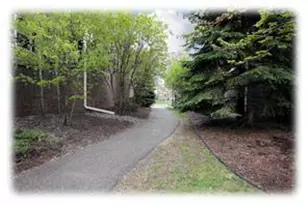 8139 Oakview Ln N, Maple Grove, MN 55369 - Photo 24