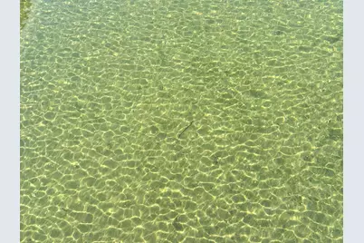 Lot C Norwood Lane, Battle Lake, MN 56515 - Photo 6