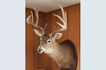 4477 Hitchcock Road, Orr, MN 55771 - Photo 32