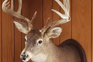 4477 Hitchcock Rd, Orr, MN 55771 - Photo 32