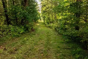 9149 Boy Lake Dr NE, Remer, MN 56672 - Photo 26