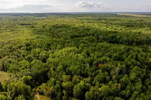 9149 Boy Lake Dr NE, Remer, MN 56672 - Photo 28