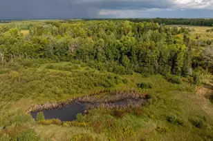 9149 Boy Lake Dr NE, Remer, MN 56672 - Photo 30