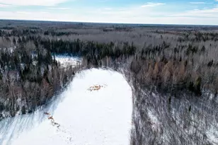 9764 Zim Rd, Zim, MN 55738 - Photo 66