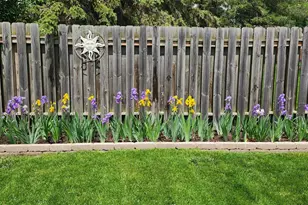 6810 61st Ave N, Crystal, MN 55428 - Photo 36