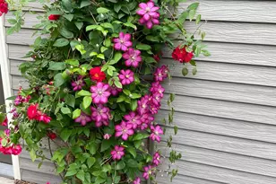 602 6th Ave SW, Austin, MN 55912 - Photo 42