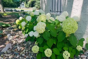 4318 Highland Dr, Shoreview, MN 55126 - Photo 46