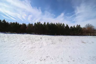 14467 Big Buck Drive, Menahga, MN 56464 - Photo 4