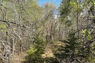 Tbd Mikes Road SW, Bemidji, MN 56601 - Photo 1