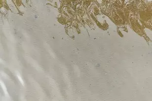 27762 Leef Rd, Webster, WI 54893 - Photo 20