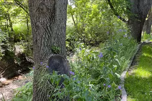 600 Plum Ave, Windom, MN 56101 - Photo 56