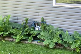 600 Plum Ave, Windom, MN 56101 - Photo 62