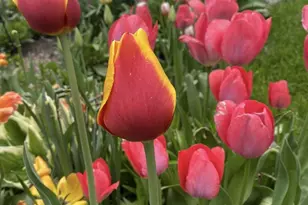 602 4th St S, Moorhead, MN 56560 - Photo 36