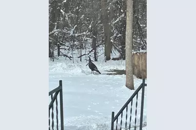 18110 County Road 30, New Germany, MN 55367 - Photo 6