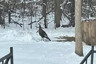 18110 County Rd 30, New Germany, MN 55367 - Photo 6