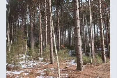 29931 Minerva Road, Danbury, WI 54830 - Photo 6